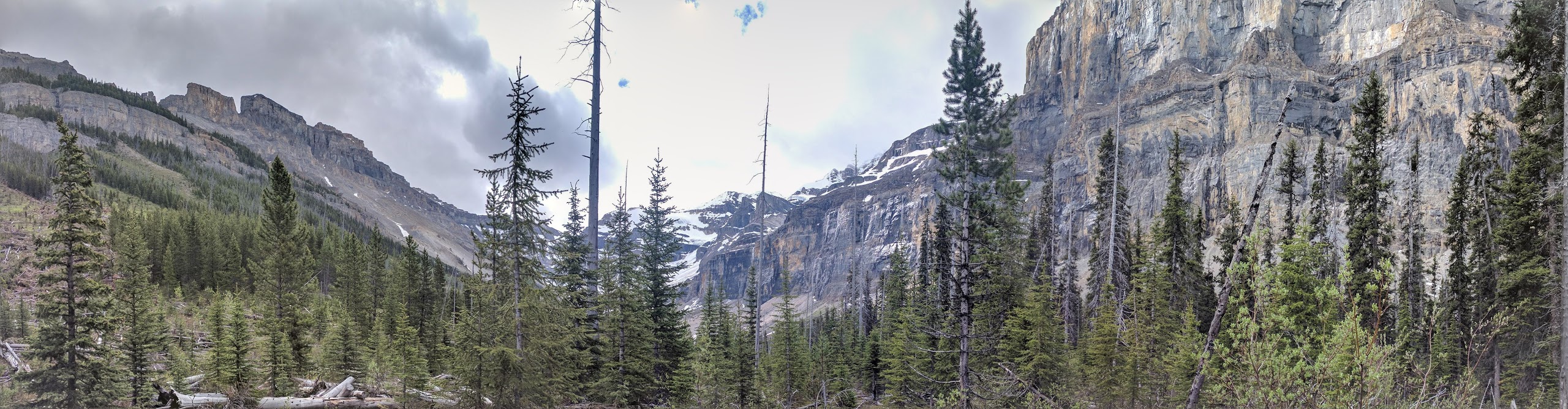 Stanley Glacier in Kootenay National Park